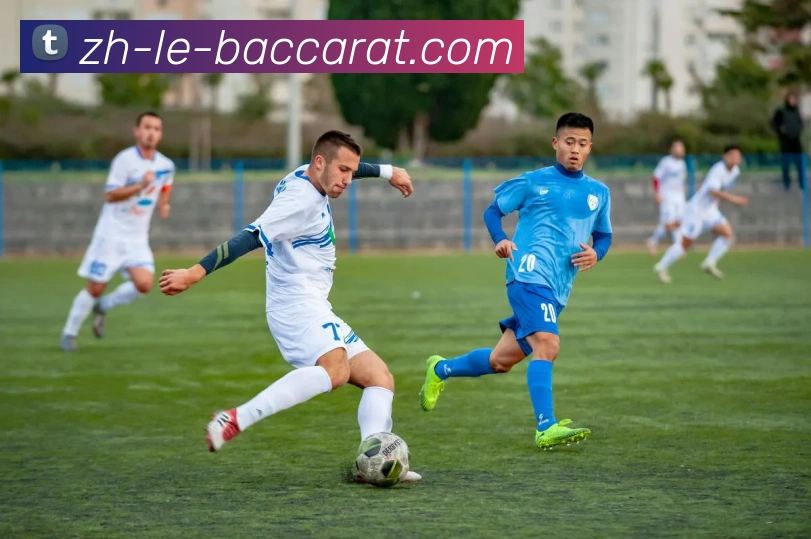 百家乐官网平台生态图